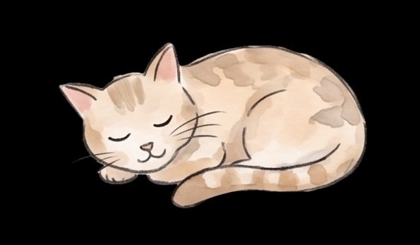 Katze